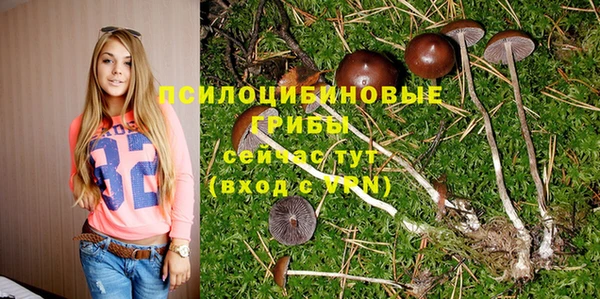 прущие крисы Алексин