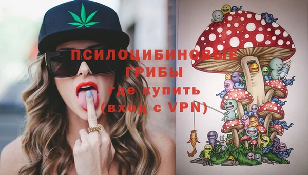 PSILOCYBIN Алексеевка