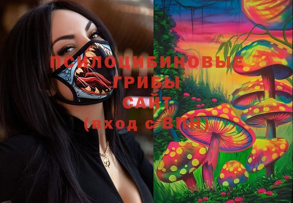 прущие крисы Алексин
