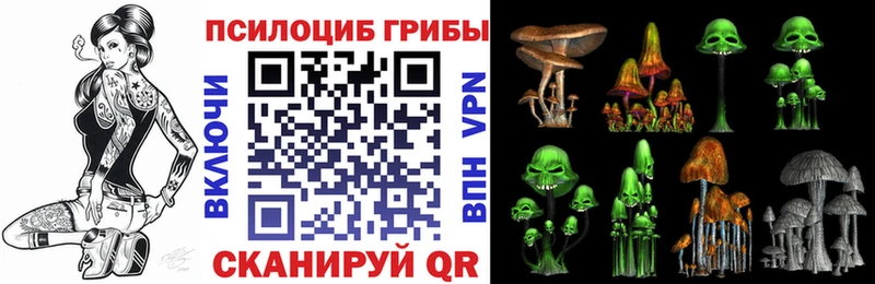 сайты даркнета как зайти  Болгар  Галлюциногенные грибы Magic Shrooms 
