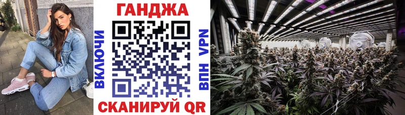 Каннабис план  Болгар 